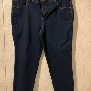 Gloria Vanderbilt Women's Navy Skinny Blue Jeans 20w short